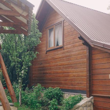 Будиночок в Карпатах Яремче Екстериор снимка