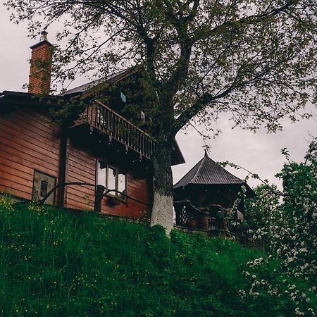 Будиночок в Карпатах Яремче Екстериор снимка
