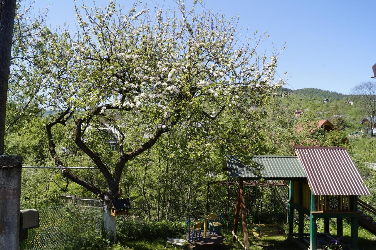 Будиночок в Карпатах Яремче Екстериор снимка